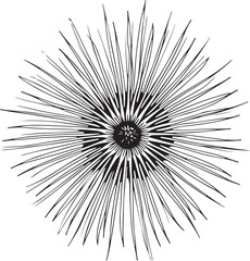 Obraz premium Sea Urchin Hand-drawn Sketch Drawing Vector Illustration, Line Linear Symbol Black and White Engraving, Isolated