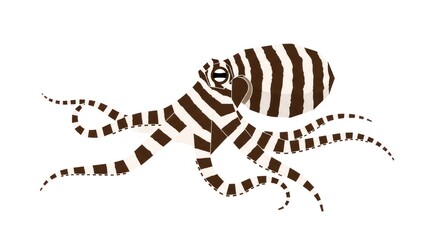 Naklejka premium Brown and white striped octopus.