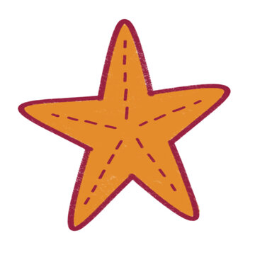 star fish, in summer orc beach and sea