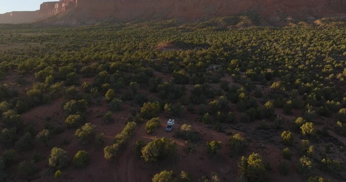 Desert juniper woodland with distant sandstone mesa cliffs near Kanab Utah at sunset