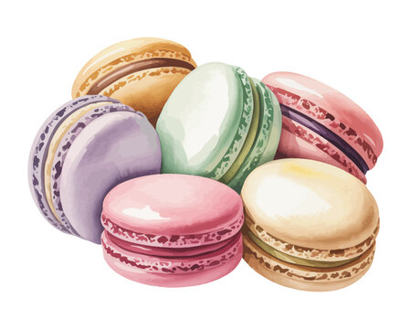 Watercolor Macaron Set, French Dessert Clipart, vector illustration Isolated on White background
