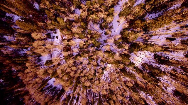 Cinematic drone shot of textured desert cliffs