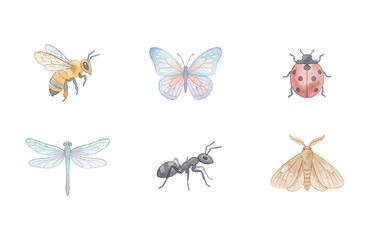 Watercolor Insect Icon Set in Minimalism Style Isolated on White © Dwi