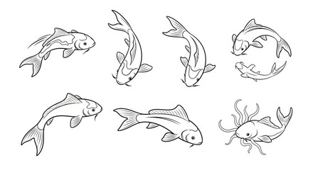 Fototapeta premium Koi Fish Hand-Drawn Sketch Set, Elegant Aquatic Animal Illustrations