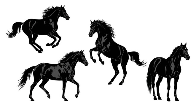 Collection of dynamic black horse silhouettes showcasing various movements and powerful poses