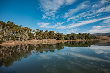 Fototapeta premium Forest Reflections at Point Reyes