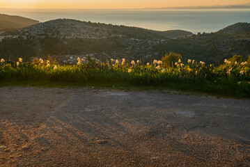 Obraz premium A gravel road with depth of field. Image for CGI backplates