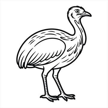 Outline illustration of a large bird standing on two legs with detailed feathers and eye.