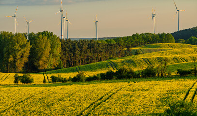Naklejka premium The intensely green spring fields of the Brandenburg region, Germany-Panorama
