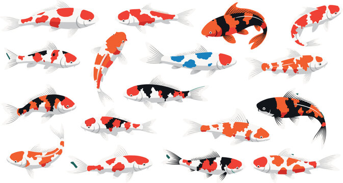 Japanese Koi Fish Vector Set with Various Colorful Patterns for Zen Garden Designs, Asian Cultural Branding, and Aquatic Nature Illustrations