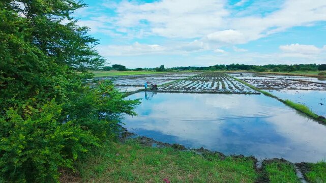 Authentic rural scene with farmer using machine in flooded rice paddies Tarlac