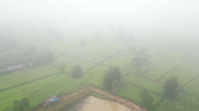 Aerial view of misty paddy field and country road surrounding a rural village at dawn. These areas serve as one of the country's most important rice-producing regions in Thailand.