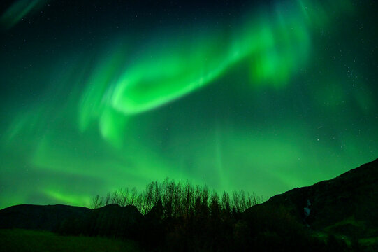 Northern Light, Aurora borealis at Iceland.