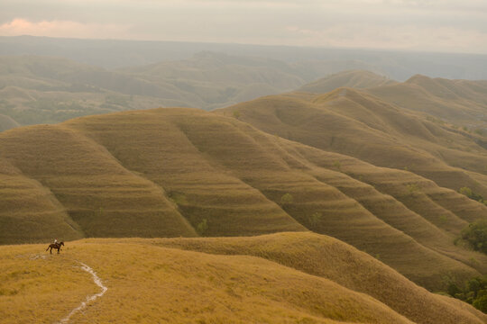 Ndapayami Hills at Sunset in East Sumba