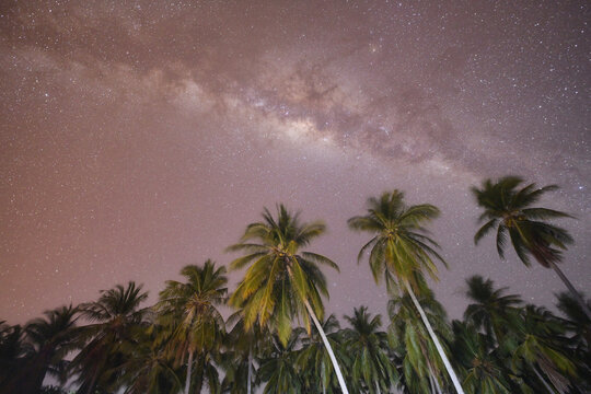 Rear view of a man taking a photograph of night sky,