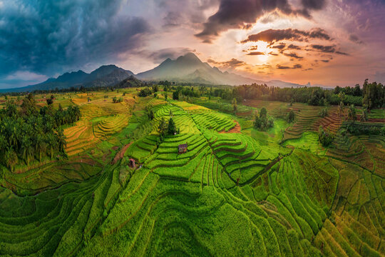 Indonesian landscape with terraced mountains