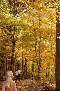Kids on Southern Illinois hike in Shawnee National Forest