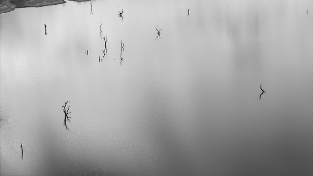 Aerial view of Lake Jindabyne with dead trees protruding from the calm water surface Snowy Monaro Regional Council, New South Wales, Australia.