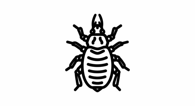 Black and white line drawing of a louse on a white background