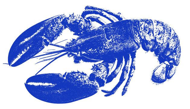 Blue Lobster Silhouette Transparent Background