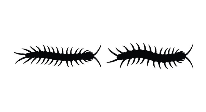 centipede silhouettes on white background high quality professional detailed modern