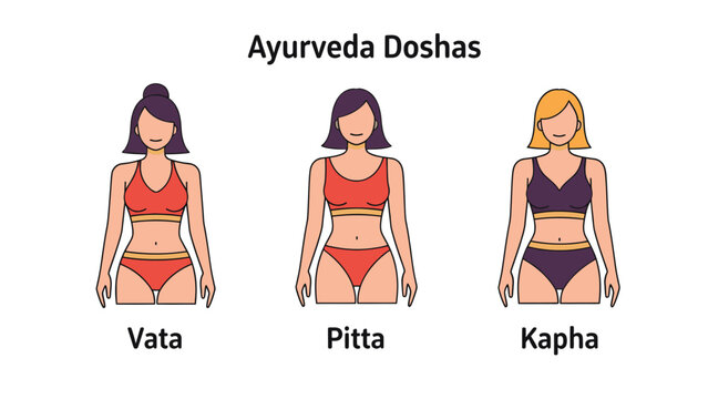 Ayurveda Doshas Vata Pitta Kapha Female Body Types Vector Illustration for Health and Wellness Design