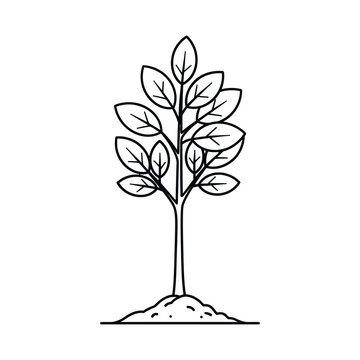 A minimalist line art drawing of a young tree or sapling with a small mound of earth at its base, on a white background.