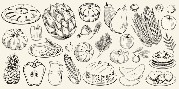 thanksgiving food illustration set hand drawn sketch style