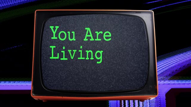 text with words you are living in a simulation on tvs