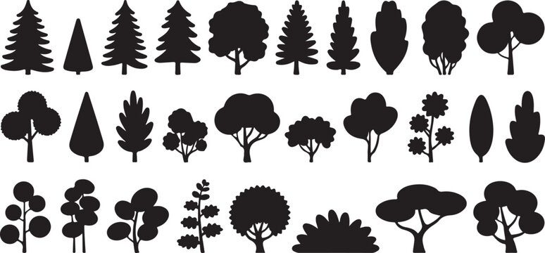 tree black silhouette set of conifer and deciduous shapes