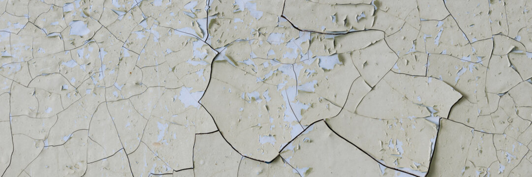 Peeling paint on the wall. Panorama of a concrete wall with old cracked flaking paint. Weathered rough painted surface with patterns of cracks and peeling. Panoramic texture for background and design.
