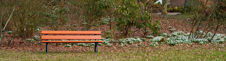 Naklejka premium Trees, bench and white flowers in park with leaves, sustainability and calm environment to relax. Banner, snowdrop plants and green shrubs outdoor with wooden chair, growth and peaceful landscape.