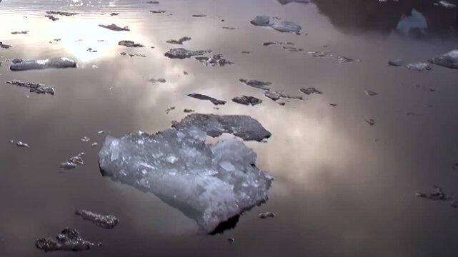 Gaze upon delicate ice fragments gently drifting across the vast Arctic ocean. A majestic glacier is nearby, its brilliant blue-white ice reflecting the muted, cloudy sky above.