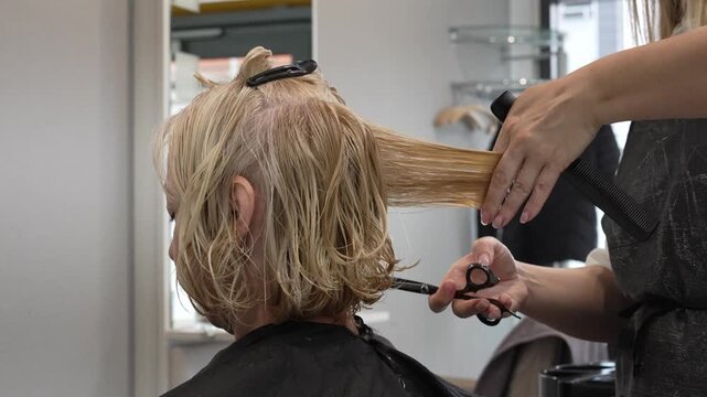 Hairdresser Cutting Woman&rsquo;s Blonde Hair in Beauty Salon
