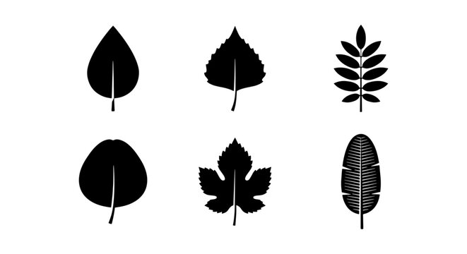 Diverse Leaf Silhouettes Collection, Botanical Icons Set, Nature Vector Graphics, Organic Shapes for Design