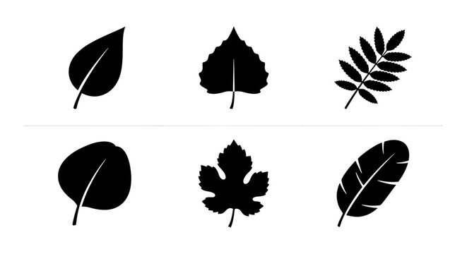 Six Black Silhouette Leaf Icons, Simple Botanical Vector Graphics, Organic Nature Elements, Autumn Foliage Symbols