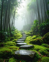 Fototapeta premium Mossy stone steps ascend a misty bamboo forest path, bathed in soft light