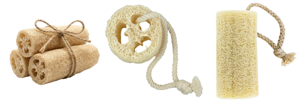 Three natural loofah sponges and a loofah scrubber with rope, isolated on transparent background