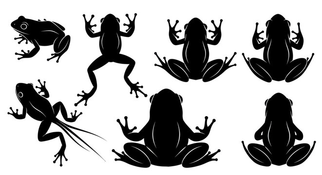 Frog Silhouettes Collection with Various Poses, Vector Illustration