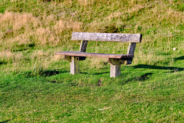 Naklejka premium Park, bench and nature with grass, outdoor and scenery for peace, quiet and environment. Bush, garden and field by empty seat for season, solitude and natural growth with plants, meadow and greenery