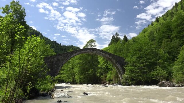 Historic stone arch bridge Firtina Valley Turkey above forest river ancient masonry. Old crossing spans woodland stream lush basin travel heritage rushing water water landscape detail.