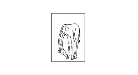 Fototapeta premium Giraffe Bending Down to Graze in a Minimalist Outline Drawing