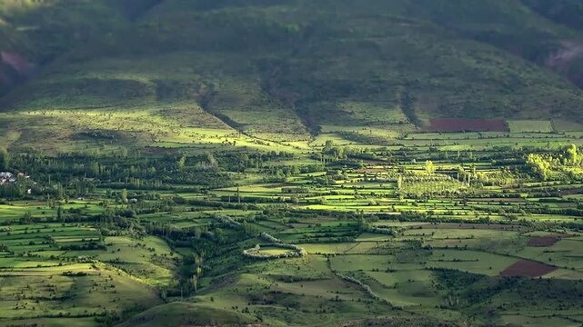 Green farmland fertile meadows Ethiopia across rolling hills fields rural terrain detail. Cultivated countryside shows orchards grassland patchwork plots cloud covered relief.