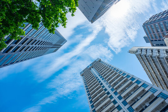マンション　タワーマンション　新緑　青空