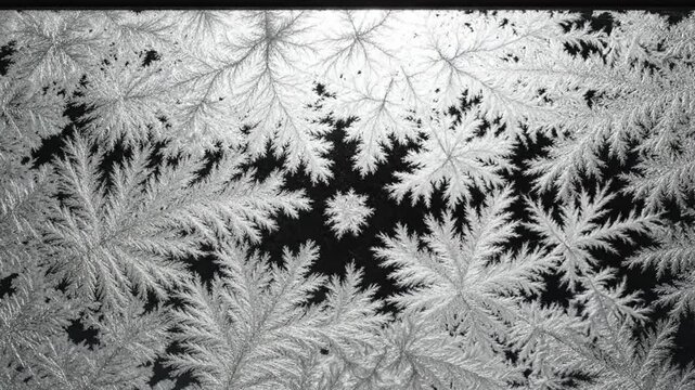 Time-lapse of shimmering frost crystals forming on a dark surface, showcasing intricate patterns and textures