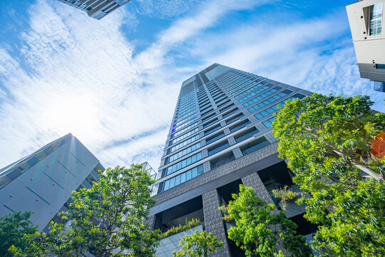 マンション　タワーマンション　新緑　青空