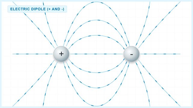 Electric Dipole Physics Science Field Lines Animation Loop