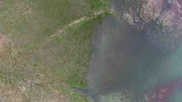 Aerial wetlands beside lake margin aquatic plants shallow channels marsh pools broad terrain detail. Overhead bog relief reveals floating vegetation muddy flats quiet lagoon habitat.