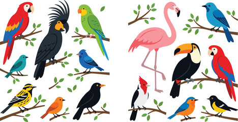 Colorful Tropical Bird Collection Set with Parrot Flamingo Toucan and Exotic Birds on Branch for Nature, Wildlife, and Animal Illustration Designs © mdnazrul