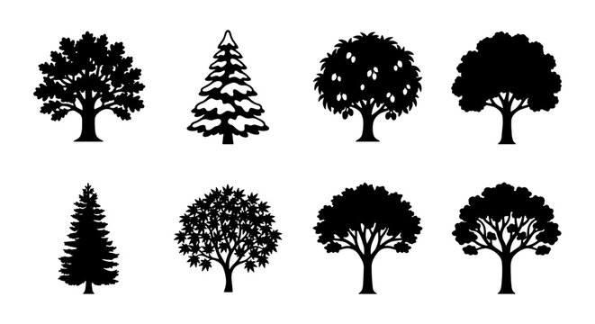 Diverse Tree Silhouettes Collection, Vector Icons for Nature and Landscape Design Elements, Evergreen and Deciduous Botanical Illustrations